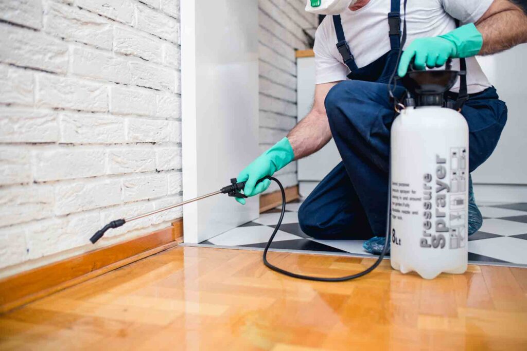 homeguide-pest-control-exterminator-spraying-home-for-roaches-and-insects