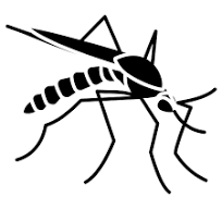 Dengue Spray Services