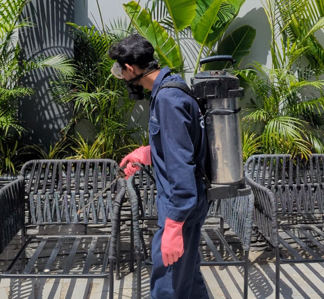 WhatsApp Image 2025-10-23 at 3.49.32 PM