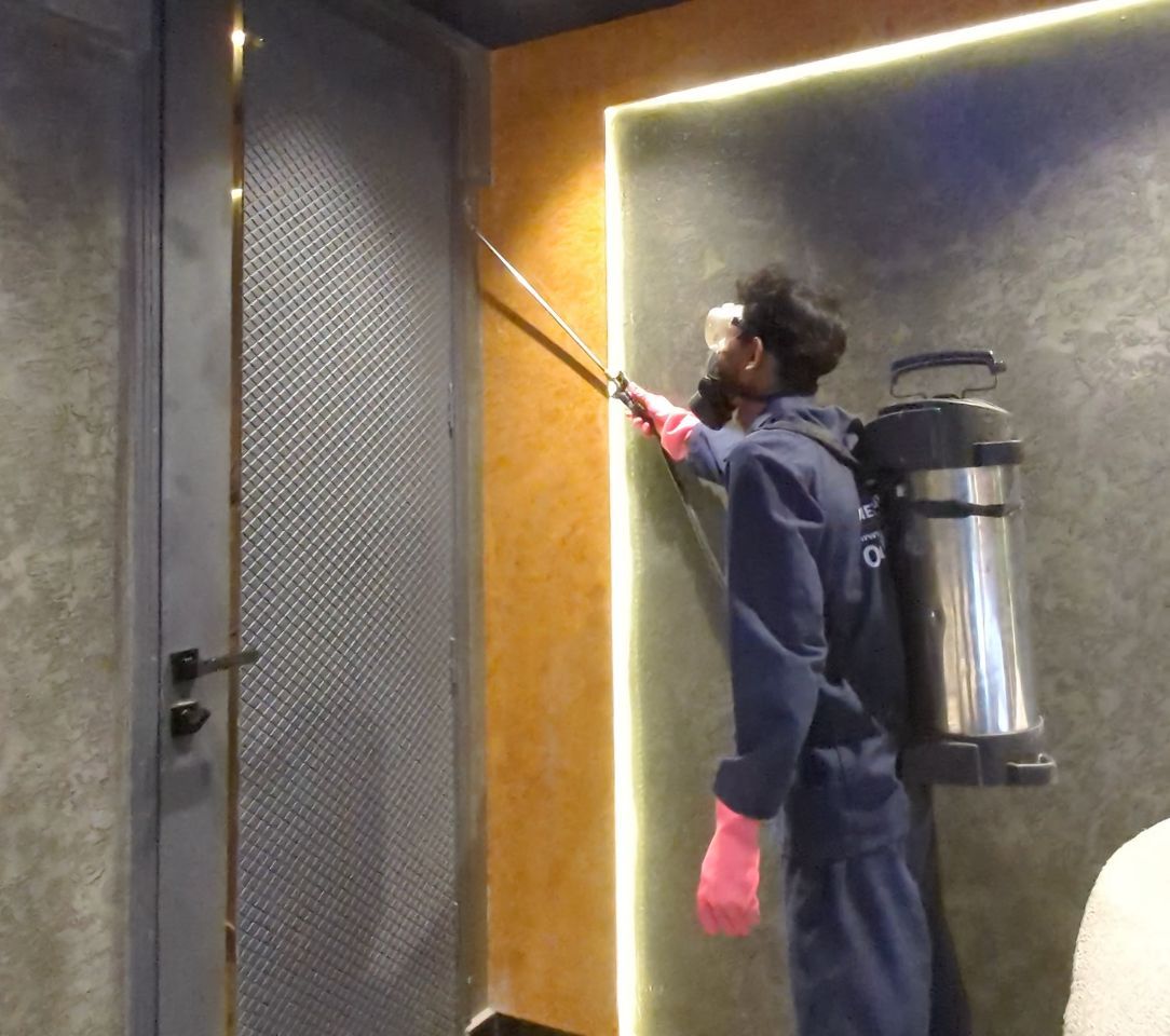 WhatsApp Image 2025-10-23 at 3.50.26 PM