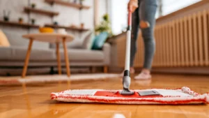 Home 114 Professional carpet cleaning service by Nest Fumigation Services in Karachi