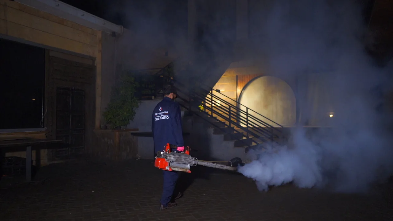 General pest control treatment by Nest Fumigation Services in Karachi