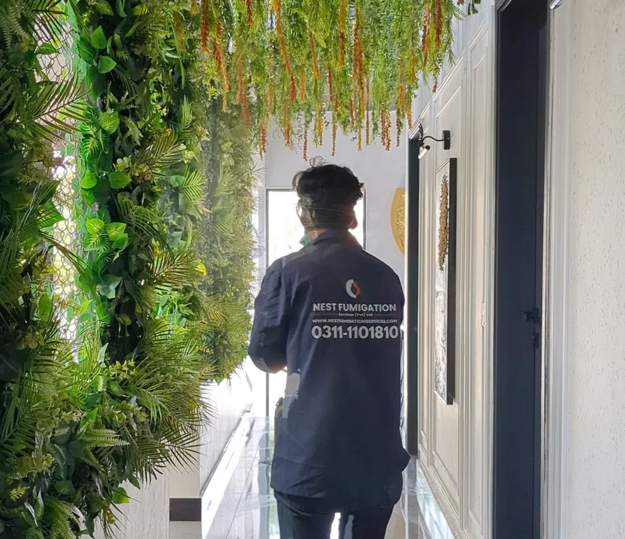 Restaurant gel baiting treatment in Clifton, Karachi