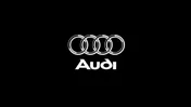 Audi Pakistan — Nest Fumigation Services client