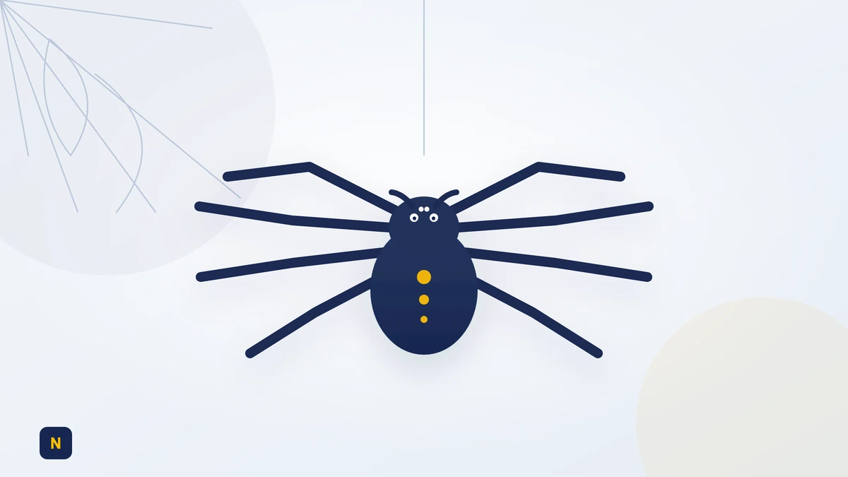 Spider control service in Karachi by Nest Fumigation Services